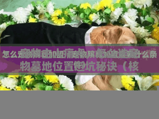 宠物主人痛点，怎么选宠物墓地位置避坑秘诀（核心词含长尾词）
