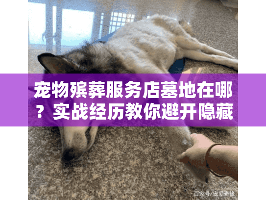 宠物殡葬服务店墓地在哪？实战经历教你避开隐藏坑位