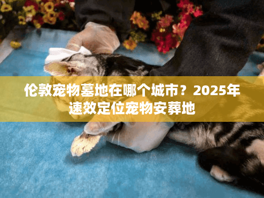 伦敦宠物墓地在哪个城市？2025年速效定位宠物安葬地
