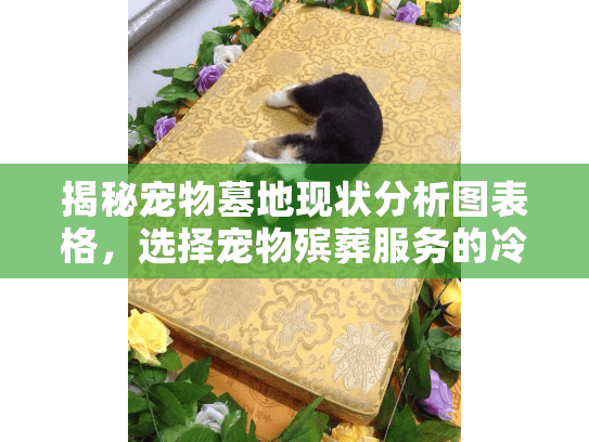 揭秘宠物墓地现状分析图表格，选择宠物殡葬服务的冷门宝藏