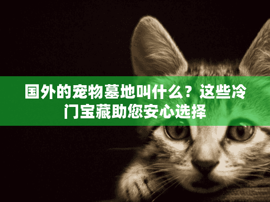 国外的宠物墓地叫什么?这些冷门宝藏助您安心选择 国外的宠物墓地叫什么?这些冷门宝藏助您安心选择