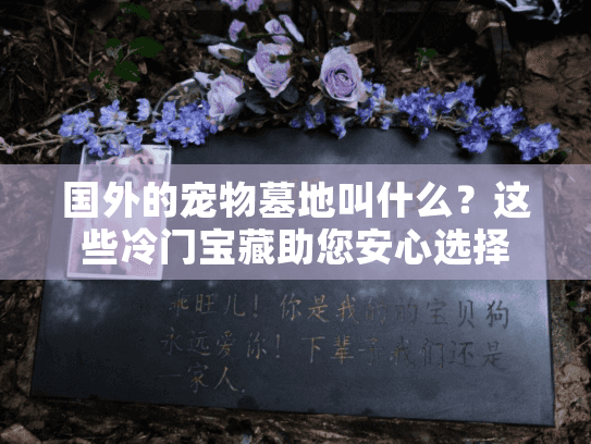 国外的宠物墓地叫什么?这些冷门宝藏助您安心选择 国外的宠物墓地叫什么?这些冷门宝藏助您安心选择
