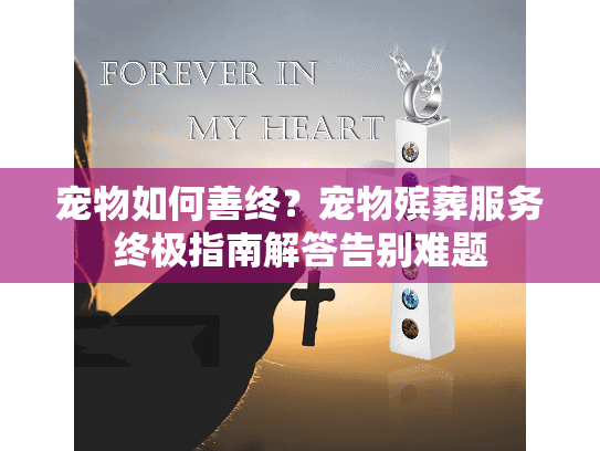 宠物如何善终？宠物殡葬服务终极指南解答告别难题