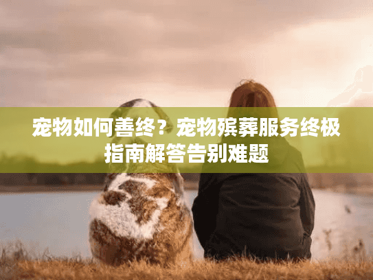 宠物如何善终？宠物殡葬服务终极指南解答告别难题