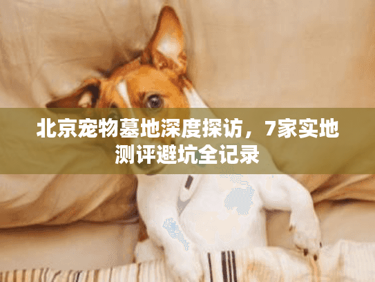 北京宠物墓地深度探访，7家实地测评避坑全记录