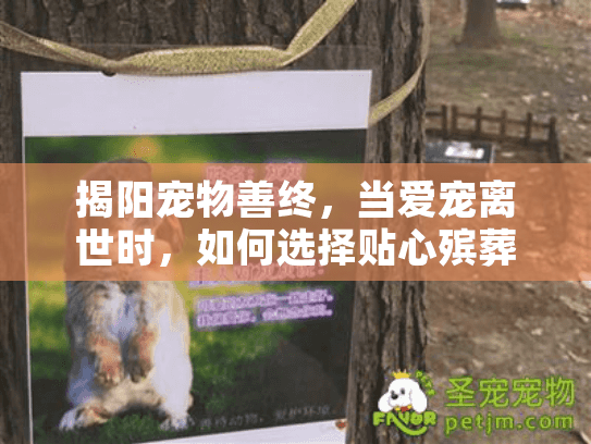 揭阳宠物善终，当爱宠离世时，如何选择贴心殡葬服务？