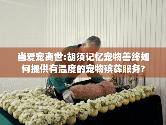 当爱宠离世:胡须记忆宠物善终如何提供有温度的宠物殡葬服务?