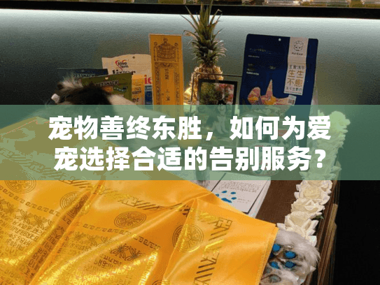 宠物善终东胜，如何为爱宠选择合适的告别服务？