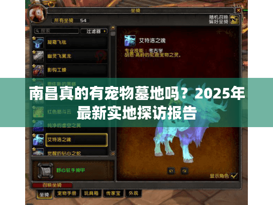 南昌真的有宠物墓地吗？2025年最新实地探访报告