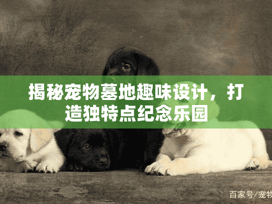 揭秘宠物墓地趣味设计，打造独特点纪念乐园