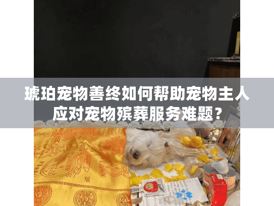 琥珀宠物善终如何帮助宠物主人应对宠物殡葬服务难题？