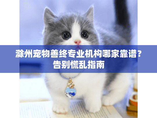 滁州宠物善终专业机构哪家靠谱？告别慌乱指南