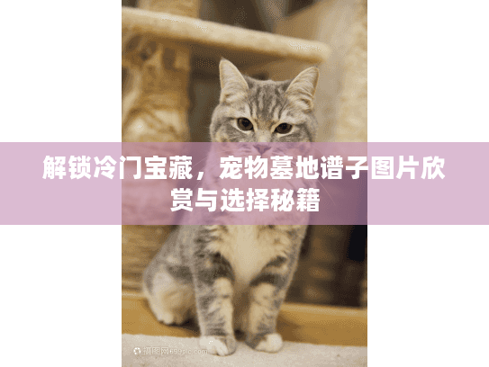 解锁冷门宝藏，宠物墓地谱子图片欣赏与选择秘籍