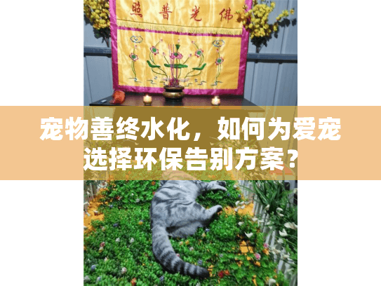 宠物善终水化，如何为爱宠选择环保告别方案？