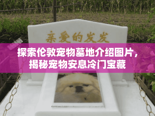 探索伦敦宠物墓地介绍图片，揭秘宠物安息冷门宝藏