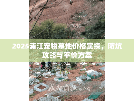 2025浦江宠物墓地价格实探，防坑攻略与平价方案