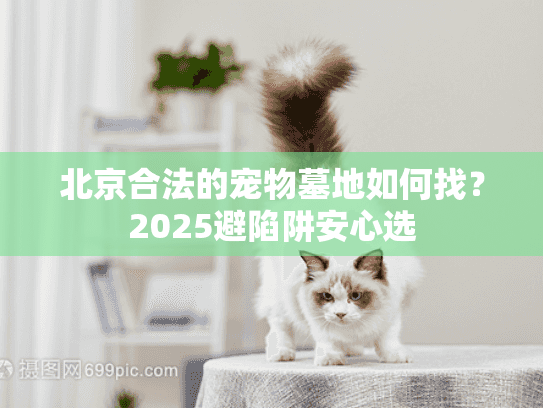 北京合法的宠物墓地如何找？2025避陷阱安心选