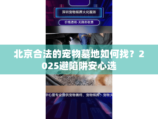 北京合法的宠物墓地如何找？2025避陷阱安心选
