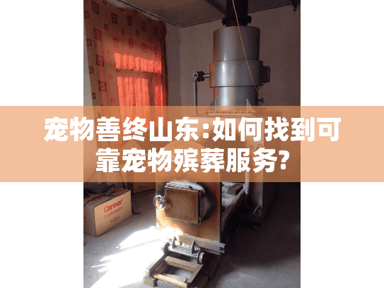 宠物善终山东:如何找到可靠宠物殡葬服务?