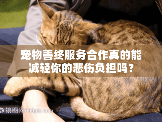 宠物善终服务合作真的能减轻你的悲伤负担吗？