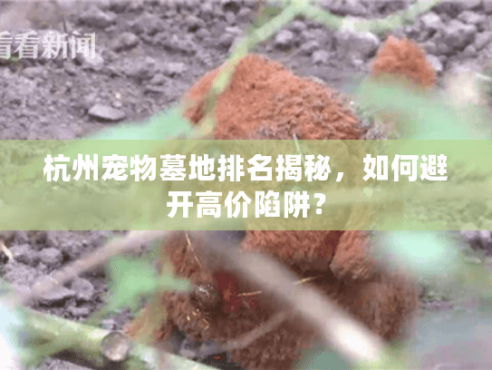 杭州宠物墓地排名揭秘，如何避开高价陷阱？