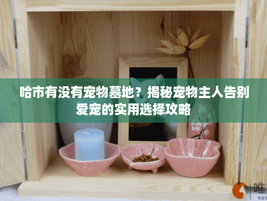哈市有没有宠物墓地?揭秘宠物主人告别爱宠的实用选择攻略 哈市有没有宠物墓地?揭秘宠物主人告别爱宠的实用选择攻略