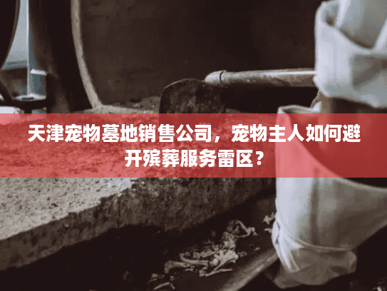 天津宠物墓地销售公司，宠物主人如何避开殡葬服务雷区？
