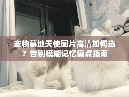 宠物墓地天使图片高清如何选？告别模糊记忆痛点指南