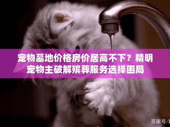 宠物墓地价格房价居高不下？精明宠物主破解殡葬服务选择困局