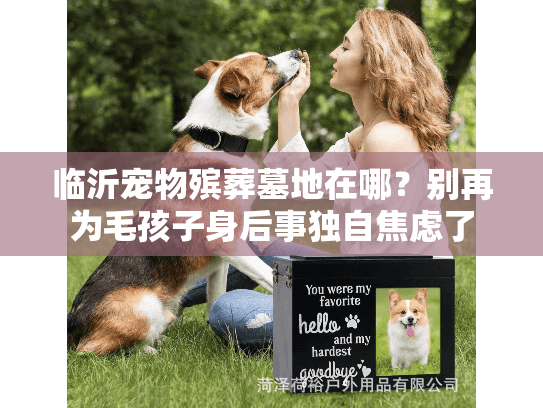 临沂宠物殡葬墓地在哪？别再为毛孩子身后事独自焦虑了