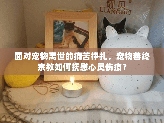 面对宠物离世的痛苦挣扎，宠物善终宗教如何抚慰心灵伤痕？