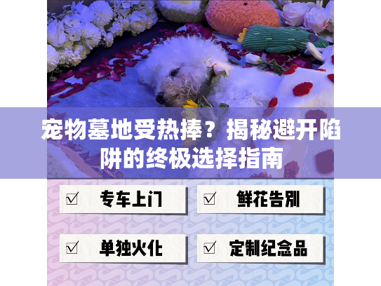 宠物墓地受热捧？揭秘避开陷阱的终极选择指南