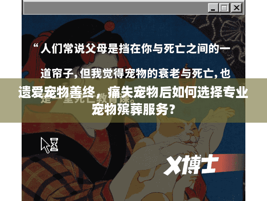 遗爱宠物善终，痛失宠物后如何选择专业宠物殡葬服务？