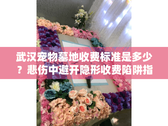 武汉宠物墓地收费标准是多少？悲伤中避开隐形收费陷阱指南