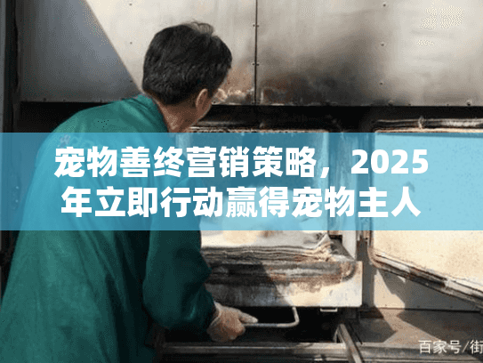 宠物善终营销策略，2025年立即行动赢得宠物主人心扉的实战指南