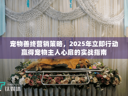 宠物善终营销策略，2025年立即行动赢得宠物主人心扉的实战指南