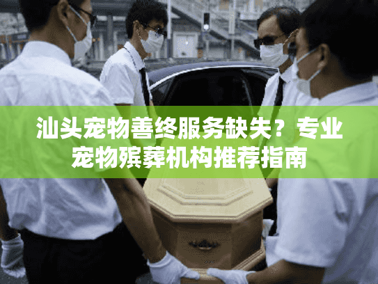 汕头宠物善终服务缺失？专业宠物殡葬机构推荐指南