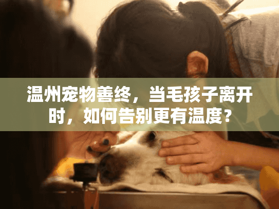 温州宠物善终，当毛孩子离开时，如何告别更有温度？