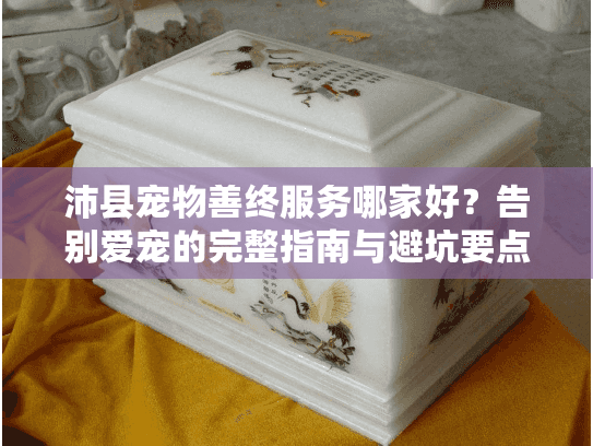 沛县宠物善终服务哪家好？告别爱宠的完整指南与避坑要点