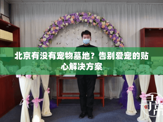 北京有没有宠物墓地？告别爱宠的贴心解决方案