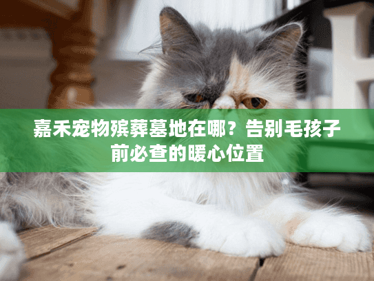 嘉禾宠物殡葬墓地在哪？告别毛孩子前必查的暖心位置