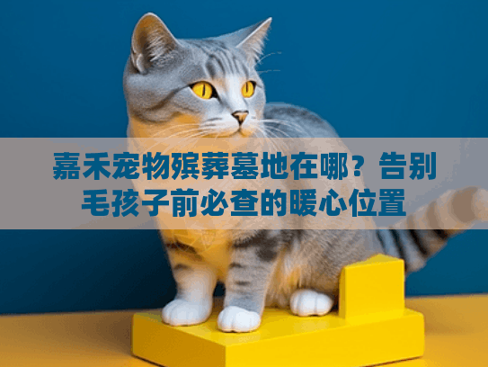 嘉禾宠物殡葬墓地在哪？告别毛孩子前必查的暖心位置