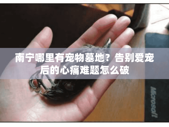 南宁哪里有宠物墓地？告别爱宠后的心痛难题怎么破