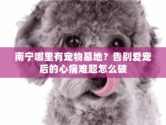 南宁哪里有宠物墓地？告别爱宠后的心痛难题怎么破
