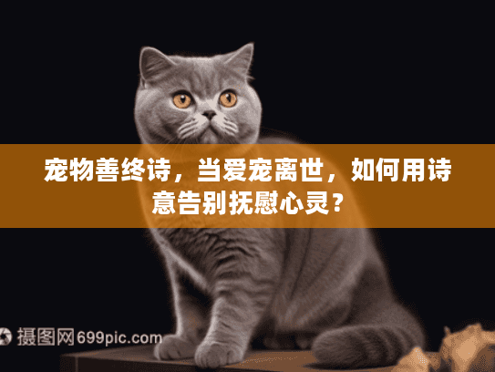 宠物善终诗，当爱宠离世，如何用诗意告别抚慰心灵？