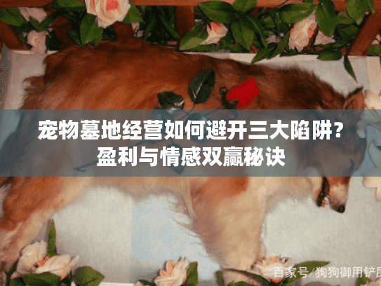 宠物墓地经营如何避开三大陷阱？盈利与情感双赢秘诀