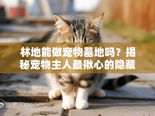 林地能做宠物墓地吗？揭秘宠物主人最揪心的隐藏风险