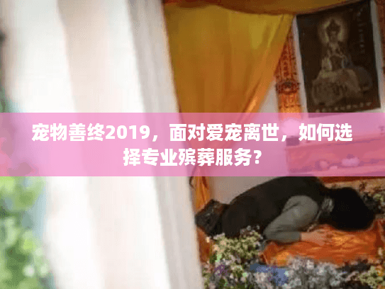 宠物善终2019，面对爱宠离世，如何选择专业殡葬服务？