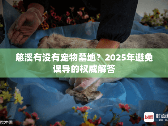 慈溪有没有宠物墓地？2025年避免误导的权威解答