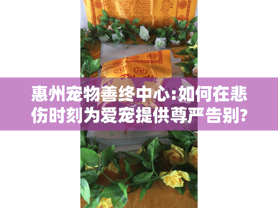 惠州宠物善终中心:如何在悲伤时刻为爱宠提供尊严告别?